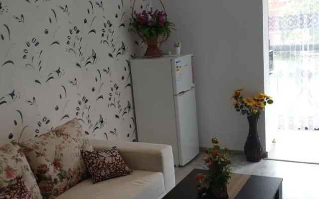 Apartament Razvan