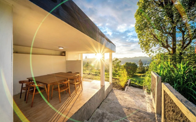 The Jungle Sunrise