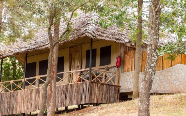 Ngorongoro Forest Tented Lodge