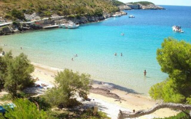 Apartments Jelena 2889