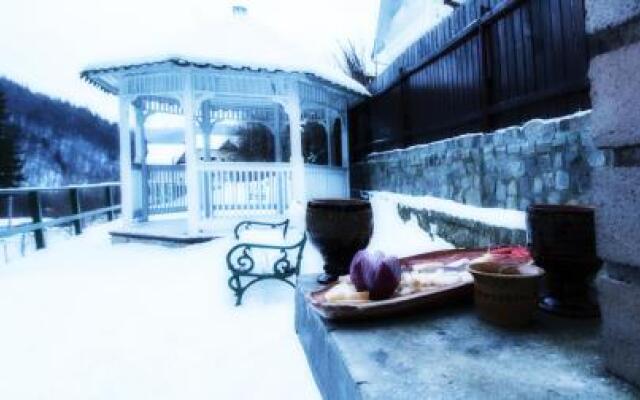 Vila Condor Sinaia