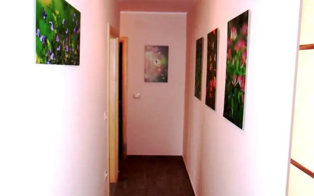 Apartmani Romano