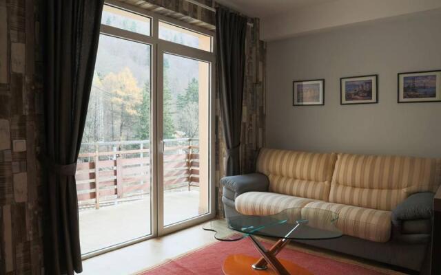 Prahova Valley Apartment