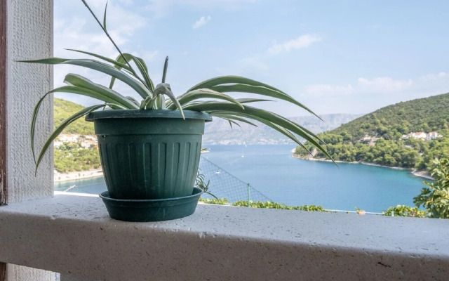Apartments Darija