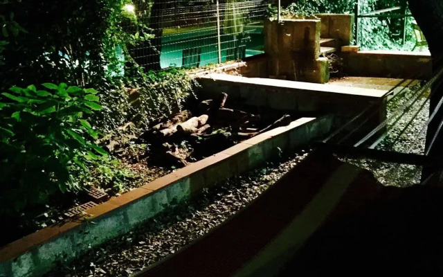 B&B Maremma Nel Tufo