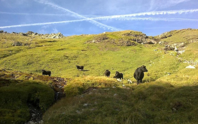 Almhütte Pichler Kasa