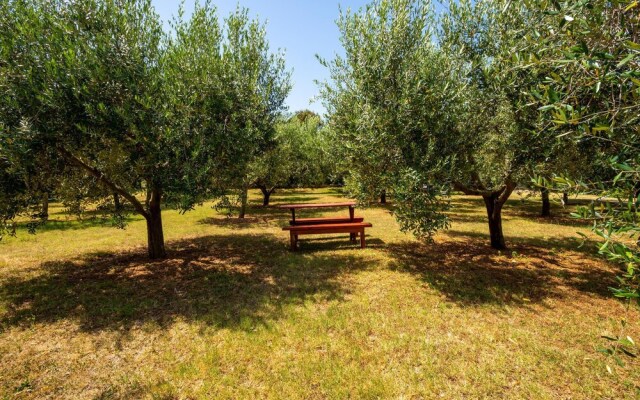 Amazing Home in Liznjan With Wifi and 2 Bedrooms