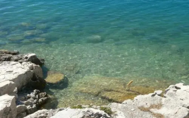 Apartman Tamara Rakalj