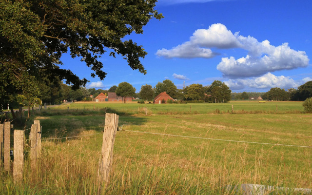 Apartment, Essen in Esens