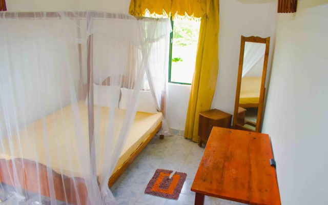 Surf Paradise & Cabana