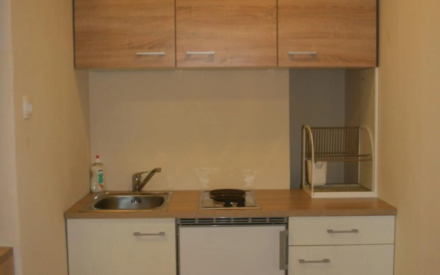 Vienna City Loft Apartment