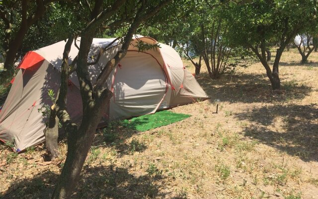 Bodrum Masali Camping - Hostel