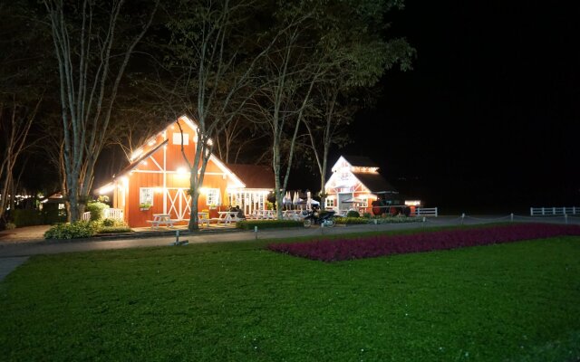 Singha Park Chiang Rai Camping