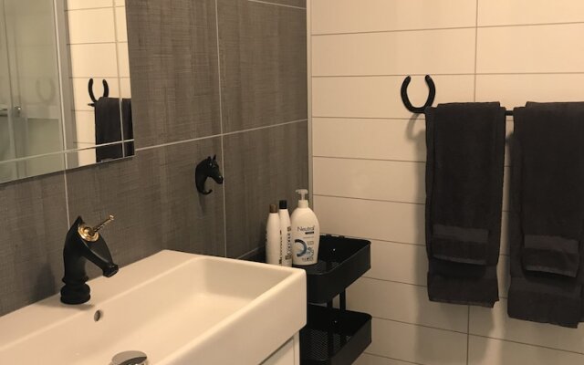 Sólvangur Farm, Icelandic Horse Center