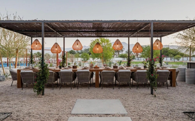 William Way - Mesquite 38