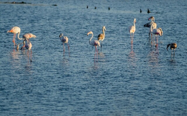 Roof Top Bairro Novo