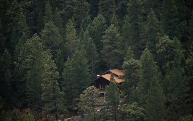 Bosques De Monterreal