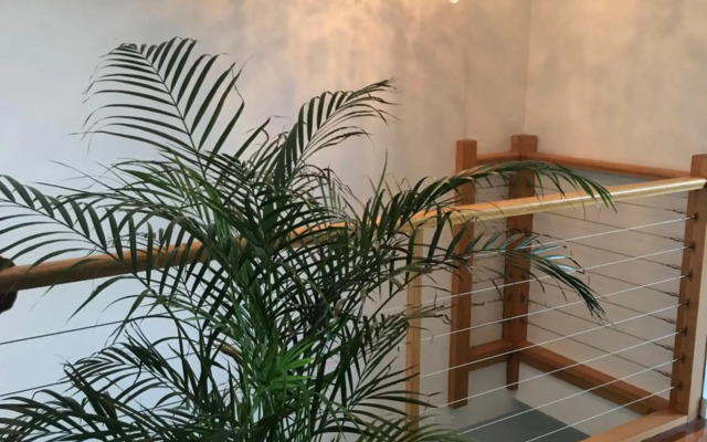 Beachside Apartments, Bonbeach