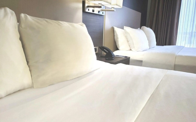 Comfort Suites Northlake