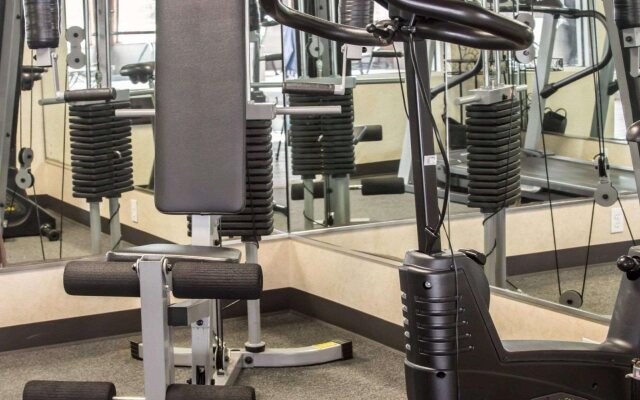 Comfort Inn & Suites Diamondale – Lansing