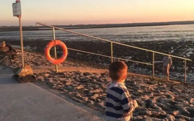 Strandnelke Modern Retreat