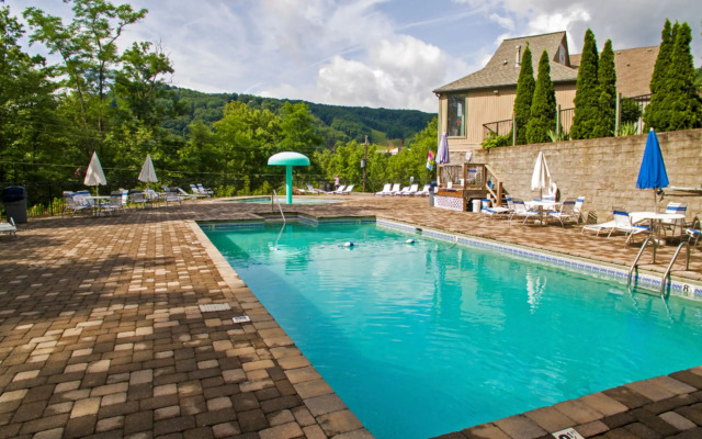 Mtn Chalet w Pool-hot Tub-gym-game Room-sauna