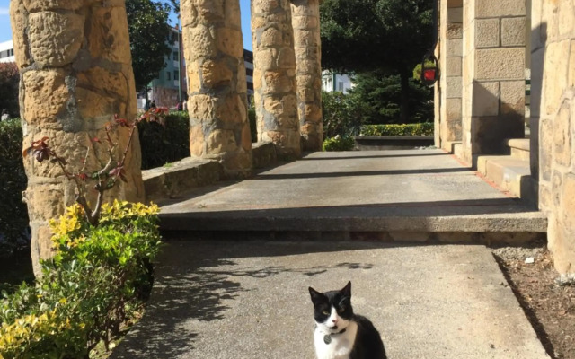 Getxo, parking, wifi, metro