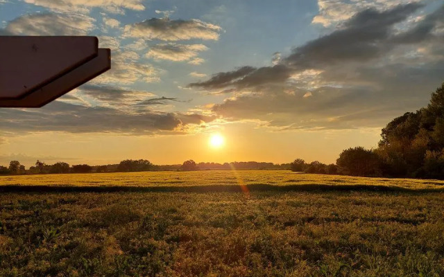Творческий глэмпинг Скворечник