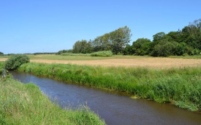 "Herman" - 22km from the sea in Western Jutland