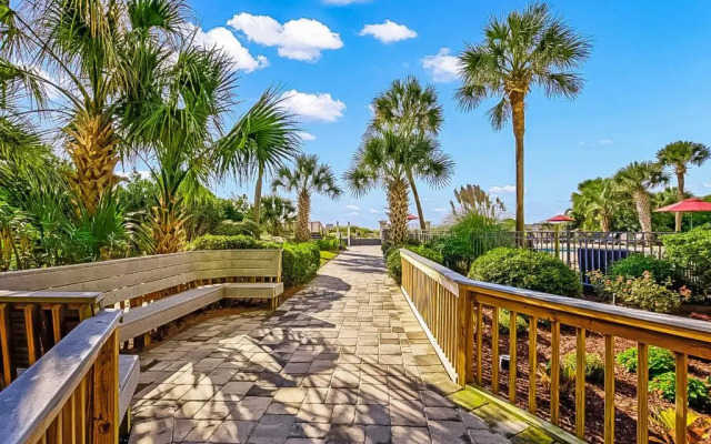 Carolina Dunes