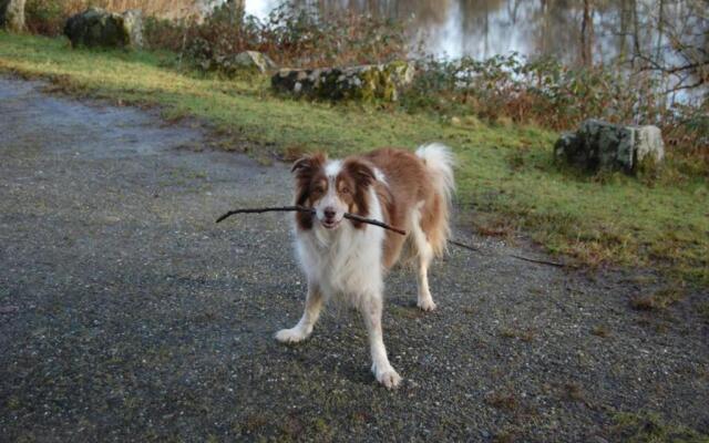 Creag Mhor Self Catering Holiday Apartment