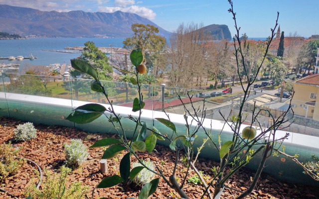 Rose One Bedroom Apartment -25