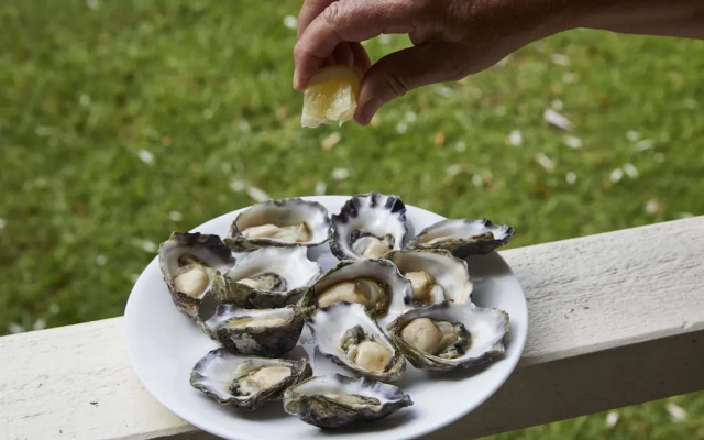 Mystery Bay Cottages