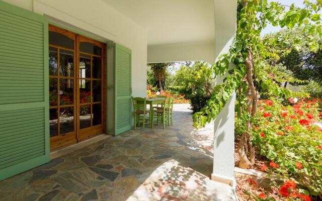 Athena Villas Olive Grove & Estate
