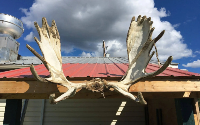 Kluane Park Inn