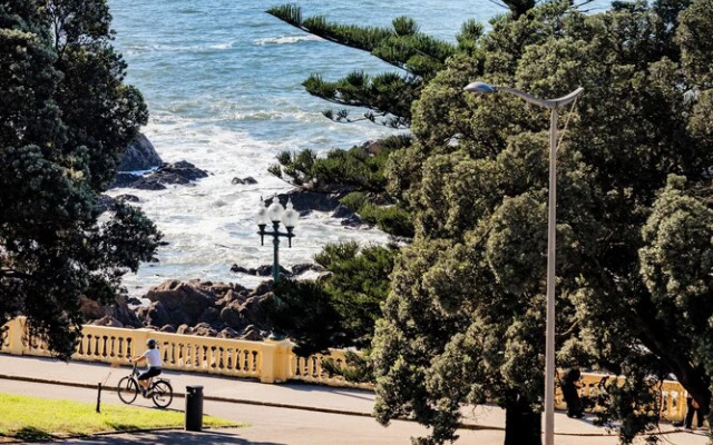 Foz Sea & City Retreat