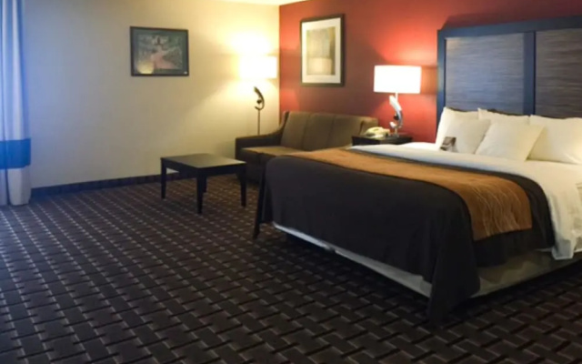 Comfort Inn Edmund Pettus Bridge area