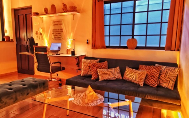 Citrus Studio By Paradox