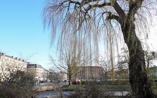 Super Cozy 3 Bedroom Duplex Apartment In Frederiksberg Close To Copenhagen Zoo