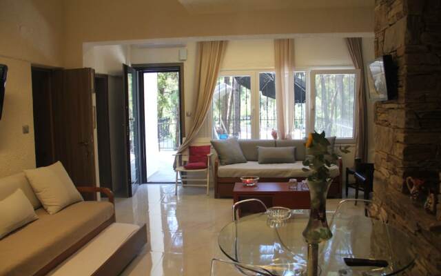 Sani Beach Apartment