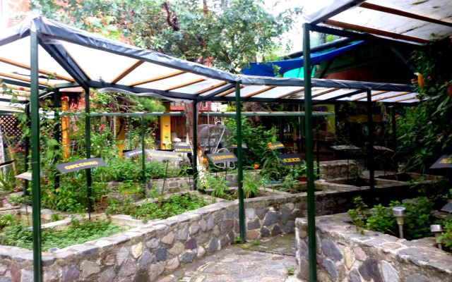 Atitlan Vacation/Work Apartment