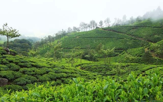 Fort Munnar