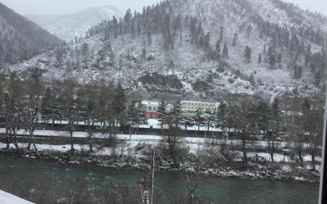 Karlsson Borjomi Apartment.