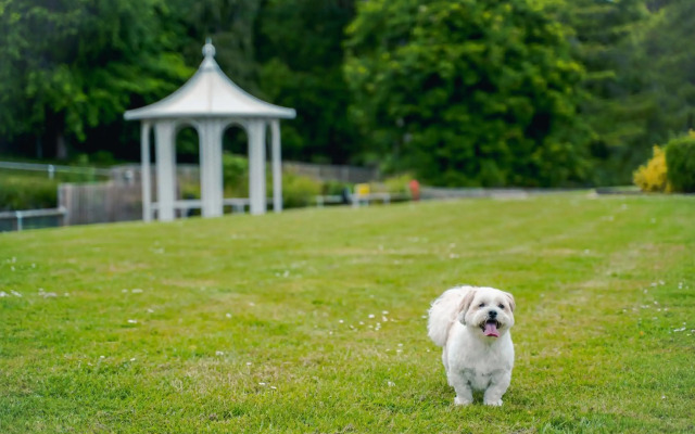 DoubleTree by Hilton Cheltenham-Cotswolds