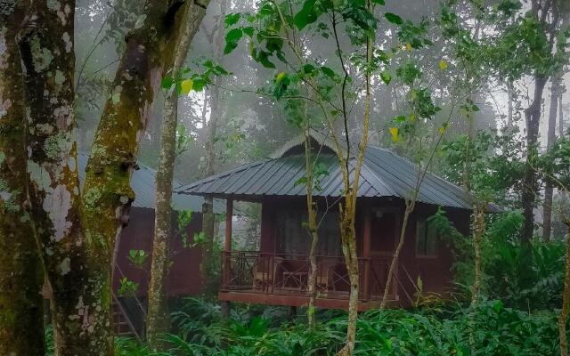 Monsoon Retreats