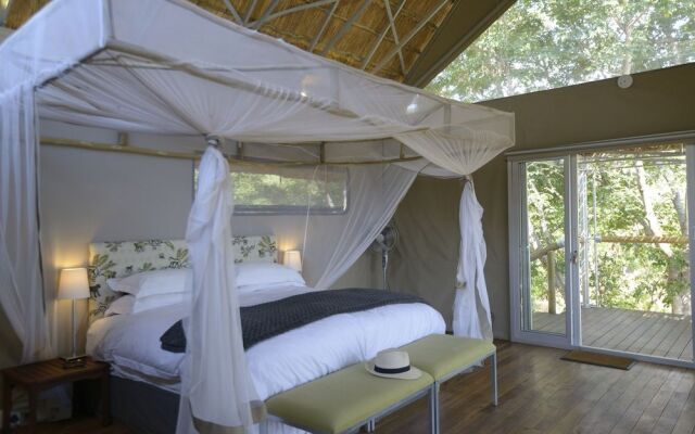 Elephant's Eye, Hwange