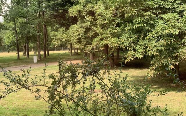 Wensum Glamping