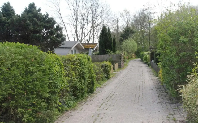 Rustic Bungalow in North Holland near Forest