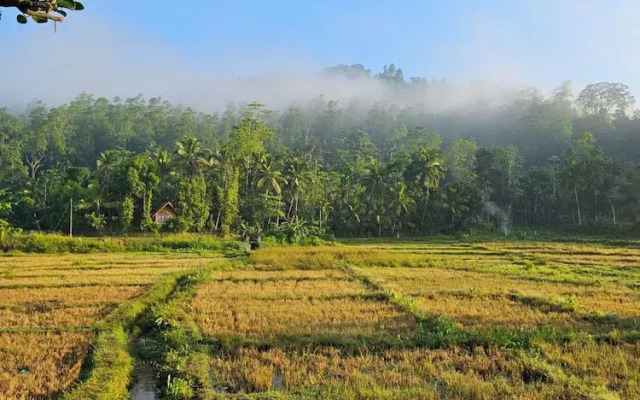 Sinharaja Serenity Retreat