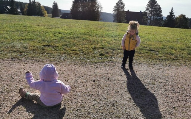 Gasthof zum Kreuz in Furtwangen